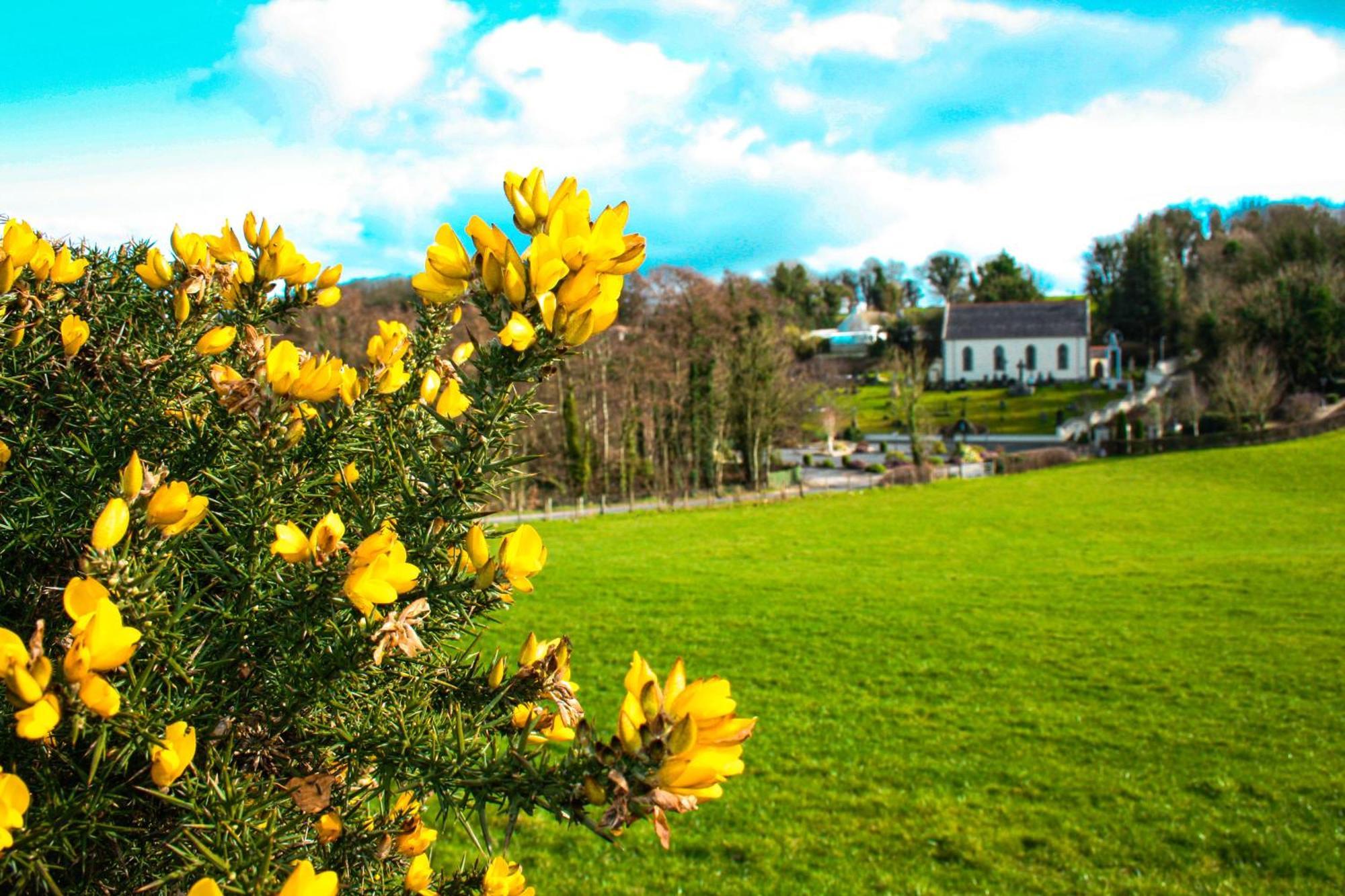 The Coach Inn Strabane Buitenkant foto
